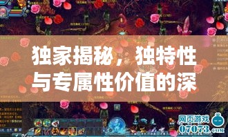 独家揭秘，独特性与专属性价值的深度探索