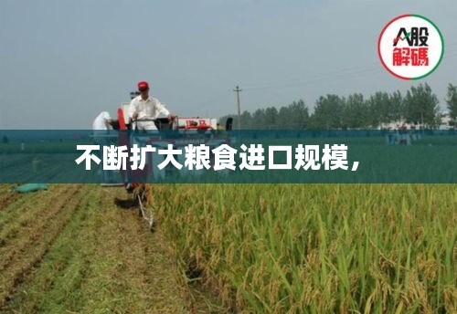 不断扩大粮食进口规模， 