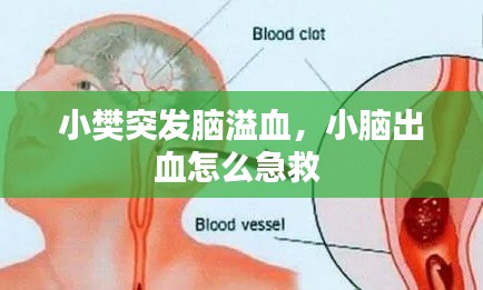 手不释卷 第2页
