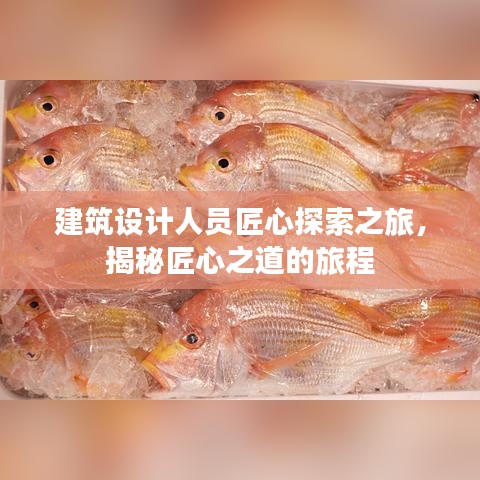 建筑设计人员匠心探索之旅，揭秘匠心之道的旅程