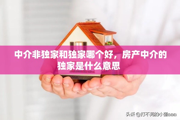 闻所未闻 第2页