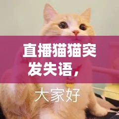 直播猫猫突发失语， 