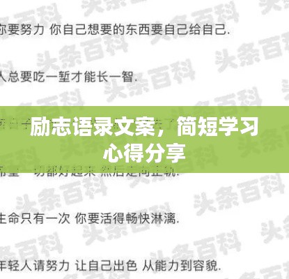 贵人多忘事 第2页