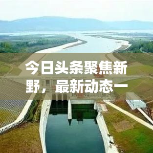 今日头条聚焦新野，最新动态一网打尽