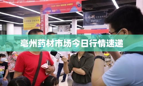 亳州药材市场今日行情速递