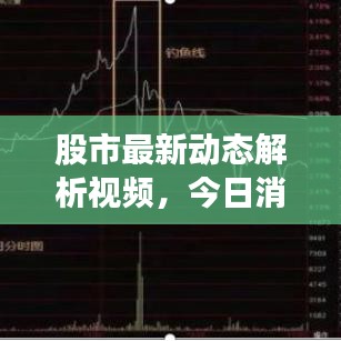 股市最新动态解析视频，今日消息一网打尽