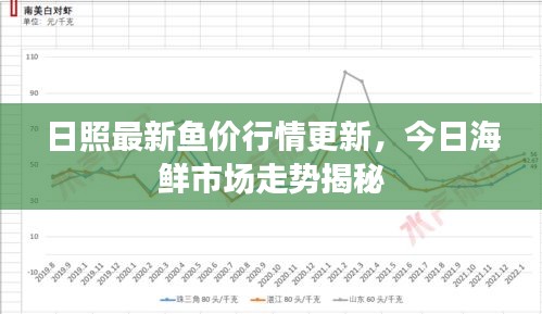 日照最新鱼价行情更新，今日海鲜市场走势揭秘