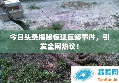 地覆天翻