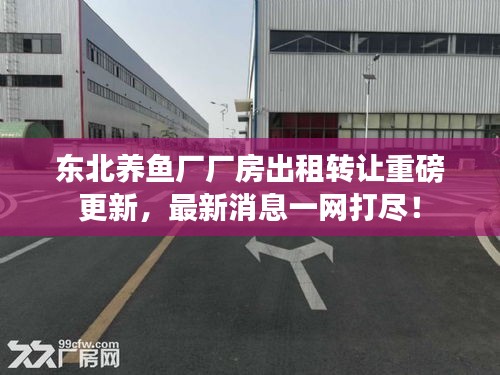 2025年4月 第51页