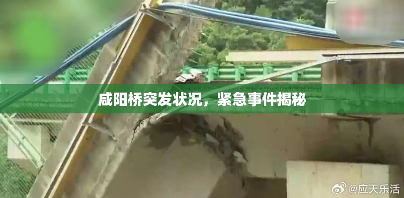 明夷于飞