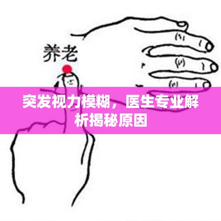 鸟声兽心