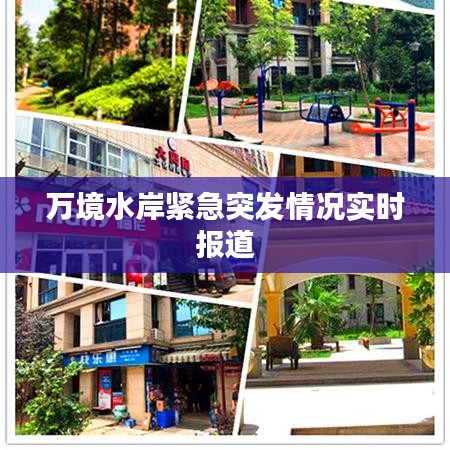 新闻中心 第12页