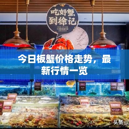 龙飞凤舞