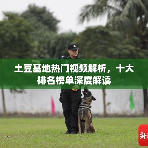 2025年4月 第5页