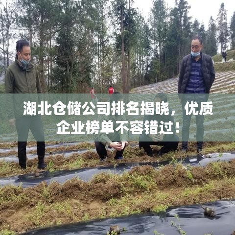 鸟面鹄形